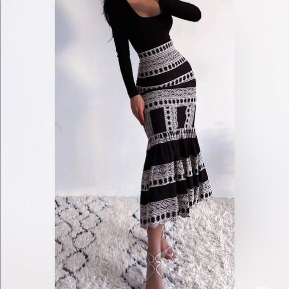 ZARA EMBROIDERED MIDI SKIRT - Picture 10 of 11